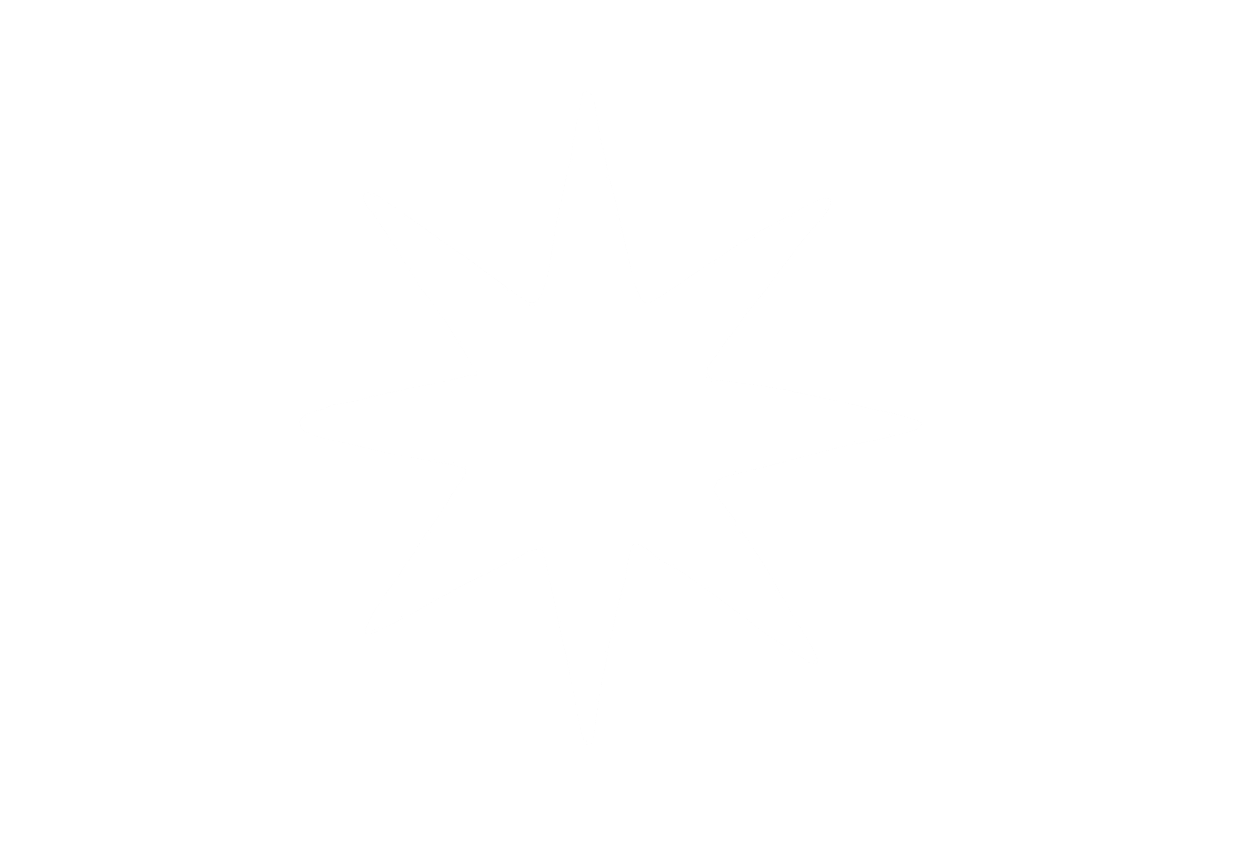 MAATE logo